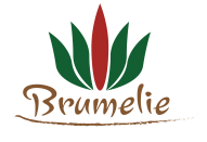 Kožené doplňky - Skladem :: Brumelie