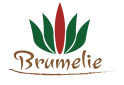 Kožené doplňky - Skladem :: Brumelie